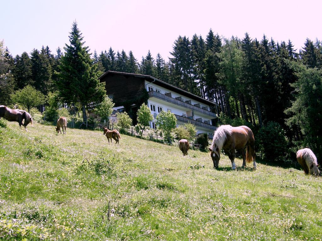 Hotel Garni Gaestehaus Karin Sankt Stefan im Lavanttal Exterior foto